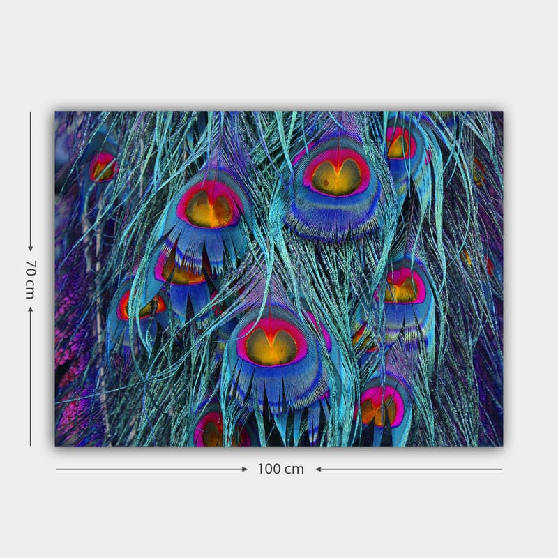 Canvastavla 70x100 cm - Färgglada påfågelfjädrar med en hypnotiserande mönstring - Turkos / Lila / Röd - Inredning - Tavlor & konst - Canvastavlor