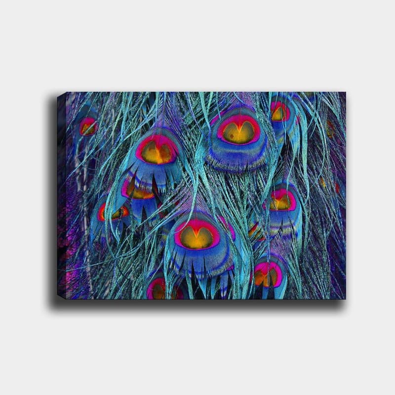 Canvastavla 70x100 cm - Färgglada påfågelfjädrar med en hypnotiserande mönstring, Turkos / Lila / Röd