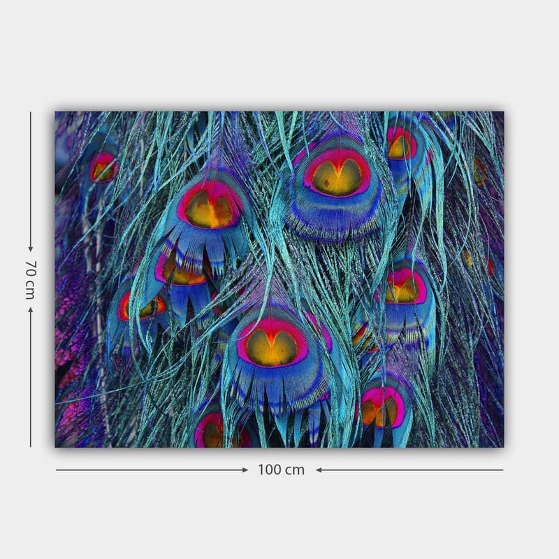 Canvastavla 70x100 cm - Färgglada påfågelfjädrar med en hypnotiserande mönstring - Turkos / Lila / Röd - Inredning - Tavlor & konst - Canvastavlor