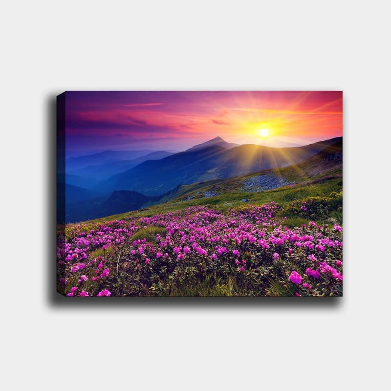 Canvastavla 70x100 cm - Färgsprakande bergslandskap med blomstrande rosa blommor i förgrunden och en soluppgång i bakgrunden - Rosa / Lila / Guld - Inredning - Tavlor & konst - Canvastavlor