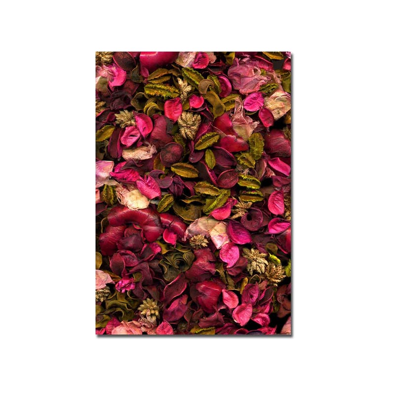 Canvastavla 70x100 cm - Färgsprakande samling av torkade blommor och blad - Rosa / Grön / Brun - Inredning - Tavlor & konst - Canvastavlor