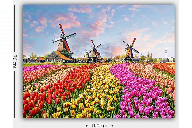 Canvastavla 70x100 cm - Färgsprakande tulpanfält med vindmöllor i bakgrunden - Röd / Rosa / Gul - Inredning - Tavlor & konst - Canvastavlor