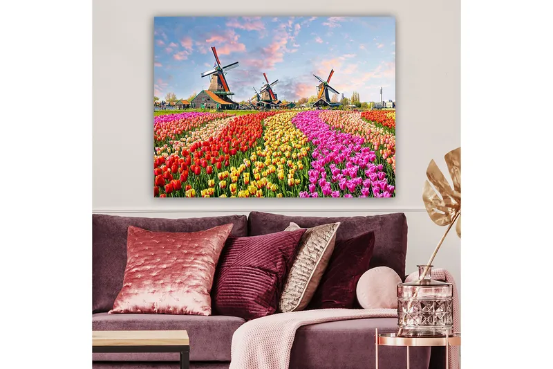 Canvastavla 70x100 cm - Färgsprakande tulpanfält med vindmöllor i bakgrunden, Röd / Rosa / Gul