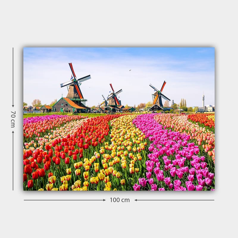 Canvastavla 70x100 cm - Färgsprakande tulpanodling med vindmölla i bakgrunden - Röd / Gul / Rosa - Inredning - Tavlor & konst - Canvastavlor