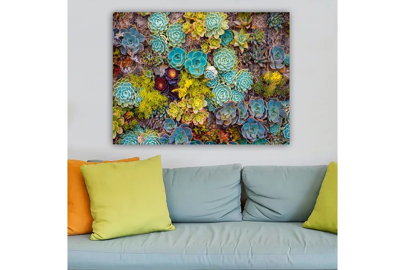 Canvastavla 70x100 cm - Färgstark samling av olika suckulenter i varierande former och nyanser - Turkos / Grön / Gul - Inredning - Tavlor & konst - Canvastavlor