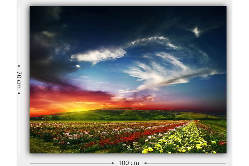 Canvastavla 70x100 cm - Färgstark solnedgång över ett blomsterfält med varierande blommor i förgrunden - Röd / Gul / Grön - Inredning - Tavlor & konst - Canvastavlor