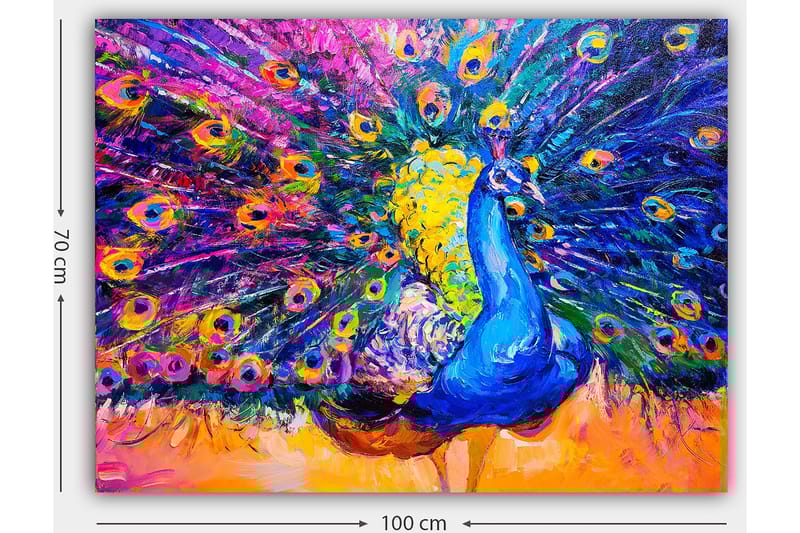Canvastavla 70x100 cm - Färgstark påfågel med utspridda fjädrar som skapar en dramatisk effekt - Blå / Lila / Gul - Inredning - Tavlor & konst - Canvastavlor