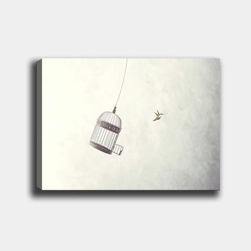 Canvastavla 70x100 cm - Fågelbur hänger i luften med en fågel som flyger i närheten - Grå / Svart / Vit - Inredning - Tavlor & konst - Canvastavlor