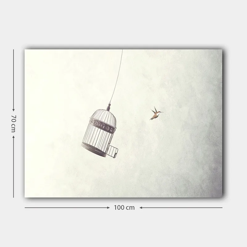 Canvastavla 70x100 cm - Fågelbur hänger i luften med en fågel som flyger i närheten - Grå / Svart / Vit - Inredning - Tavlor & konst - Canvastavlor