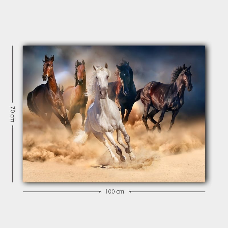 Canvastavla 70x100 cm - Fem hästar i full galopp genom sand och damm - Vit / Brun / Svart - Inredning - Tavlor & konst - Canvastavlor