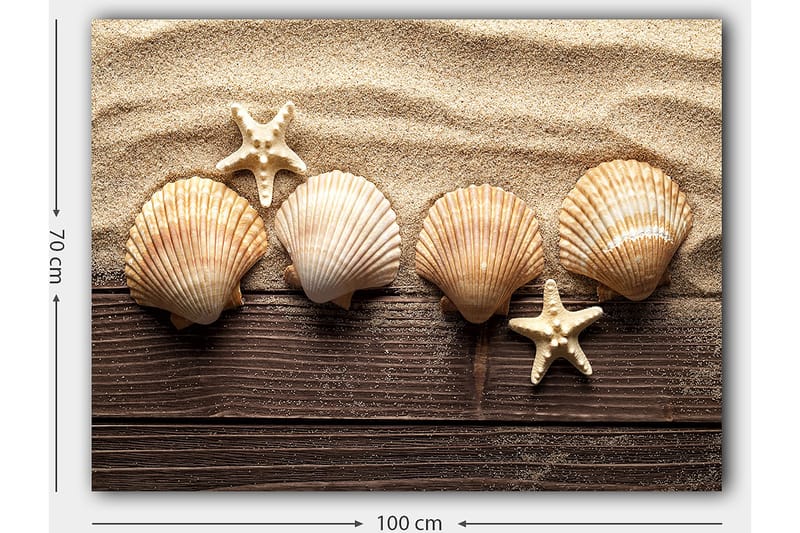 Canvastavla 70x100 cm - Fem snäckor och en sjöstjärna på sandig bakgrund - Beige / Brun / Vit - Inredning - Tavlor & konst - Canvastavlor