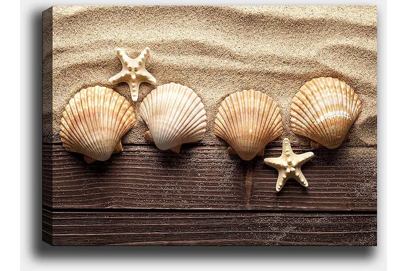 Canvastavla 70x100 cm - Fem snäckor och en sjöstjärna på sandig bakgrund - Beige / Brun / Vit - Inredning - Tavlor & konst - Canvastavlor