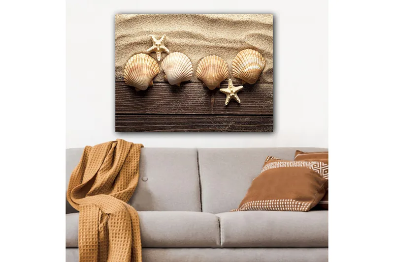 Canvastavla 70x100 cm - Fem snäckor och en sjöstjärna på sandig bakgrund, Beige / Brun / Vit