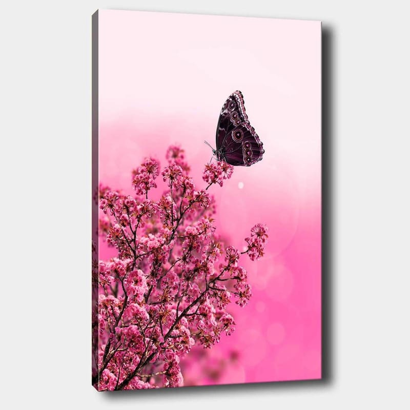 Canvastavla 70x100 cm - Fjäril som sitter på en blommande gren med rosa blommor, Mörk rosa / Ljus rosa / Svart