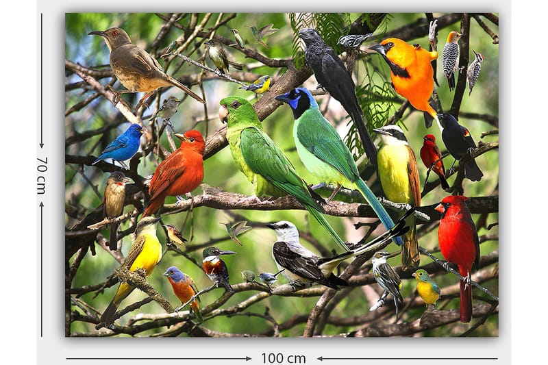 Canvastavla 70x100 cm - Flera färgglada fåglar som sitter på grenar i en livlig naturmiljö - Grön / Röd / Blå - Inredning - Tavlor & konst - Canvastavlor