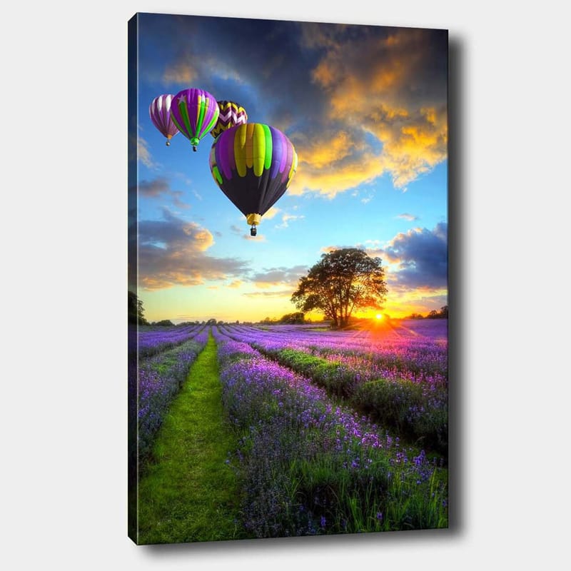 Canvastavla 70x100 cm - Flera färgglada luftballonger sväva över ett lavendelfält i solnedgångens ljus, Lila / Grön / Svart