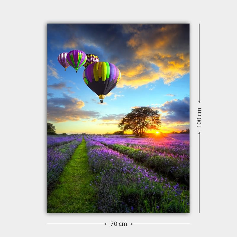 Canvastavla 70x100 cm - Flera färgglada luftballonger sväva över ett lavendelfält i solnedgångens ljus - Lila / Grön / Svart - Inredning - Tavlor & konst - Canvastavlor