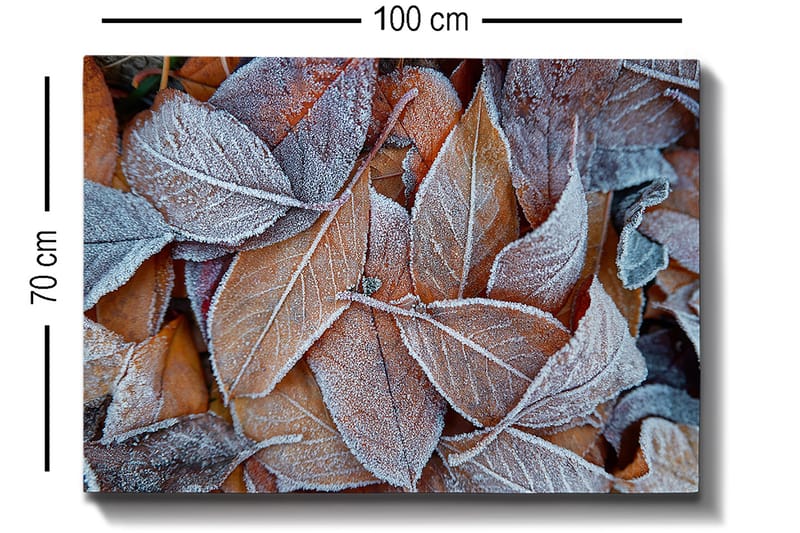 Canvastavla 70x100 cm - Frostiga löv i höstfärger - Orange / Grå / Vit - Inredning - Tavlor & konst - Canvastavlor