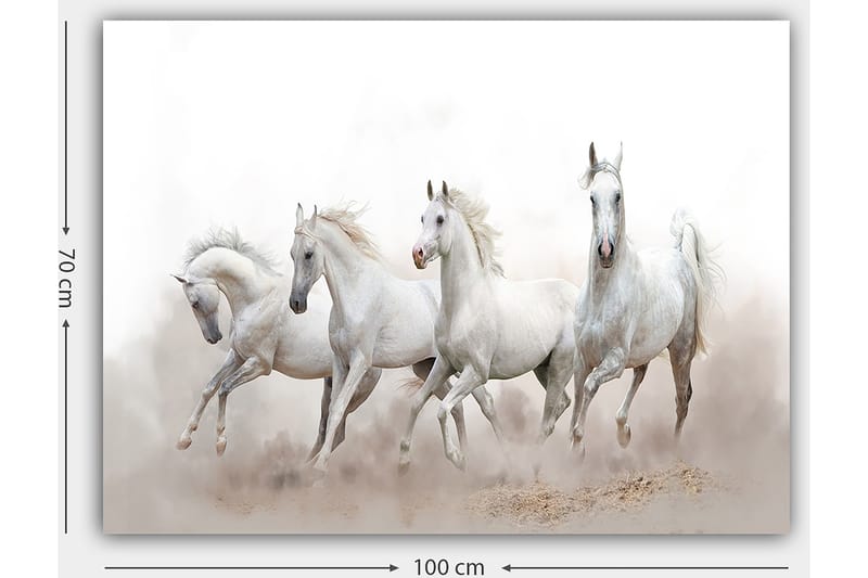 Canvastavla 70x100 cm - Fyra vita hästar som galopperar framåt i en dimmig miljö - Vit / Ljusgrå - Inredning - Tavlor & konst - Canvastavlor