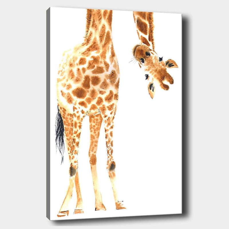 Canvastavla 70x100 cm - Giraff med karakteristiska fläckar som sträcker sig mot betraktaren, Orange / Brun / Svart