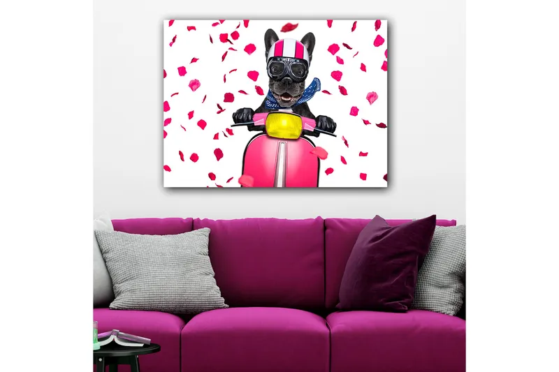 Canvastavla 70x100 cm - Glad fransk bulldogg som kör en rosa scooter med blommor som faller runtomkring - Rosa / Svart / Gul - Inredning - Tavlor & konst - Canvastavlor