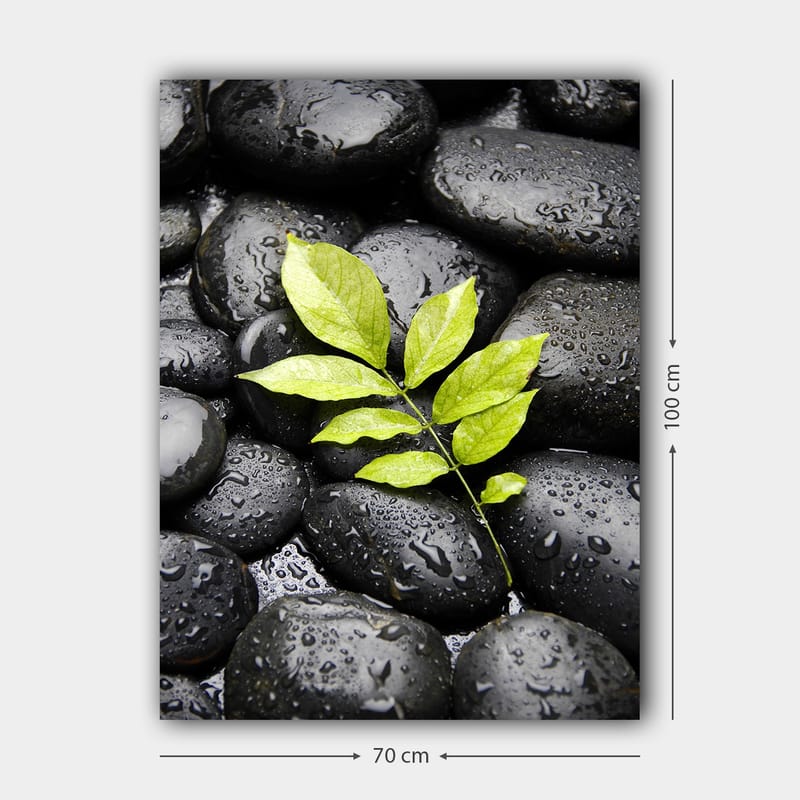 Canvastavla 70x100 cm - Grön kvist som växer fram ur en samling svarta stenar - Svart / Grön - Inredning - Tavlor & konst - Canvastavlor