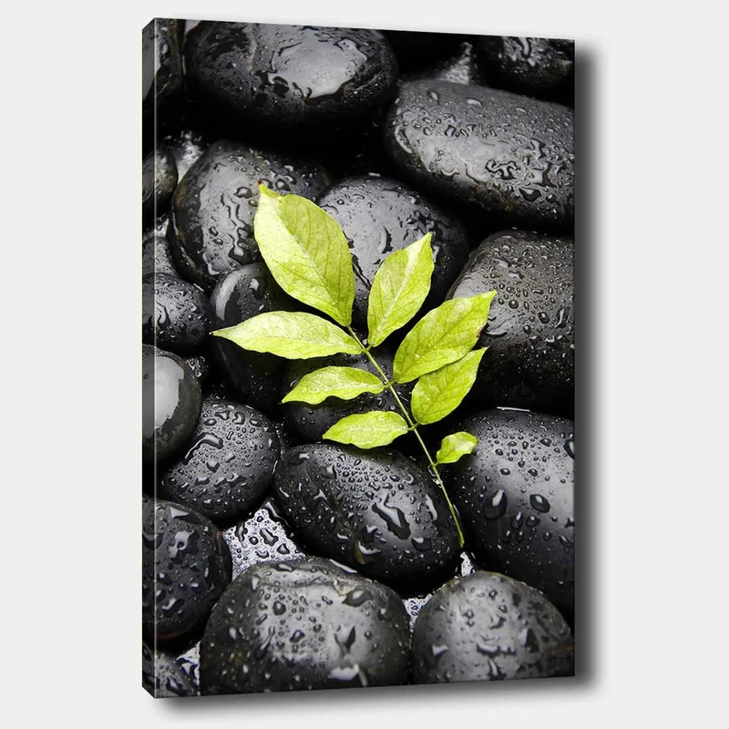 Canvastavla 70x100 cm - Grön kvist som växer fram ur en samling svarta stenar, Svart / Grön
