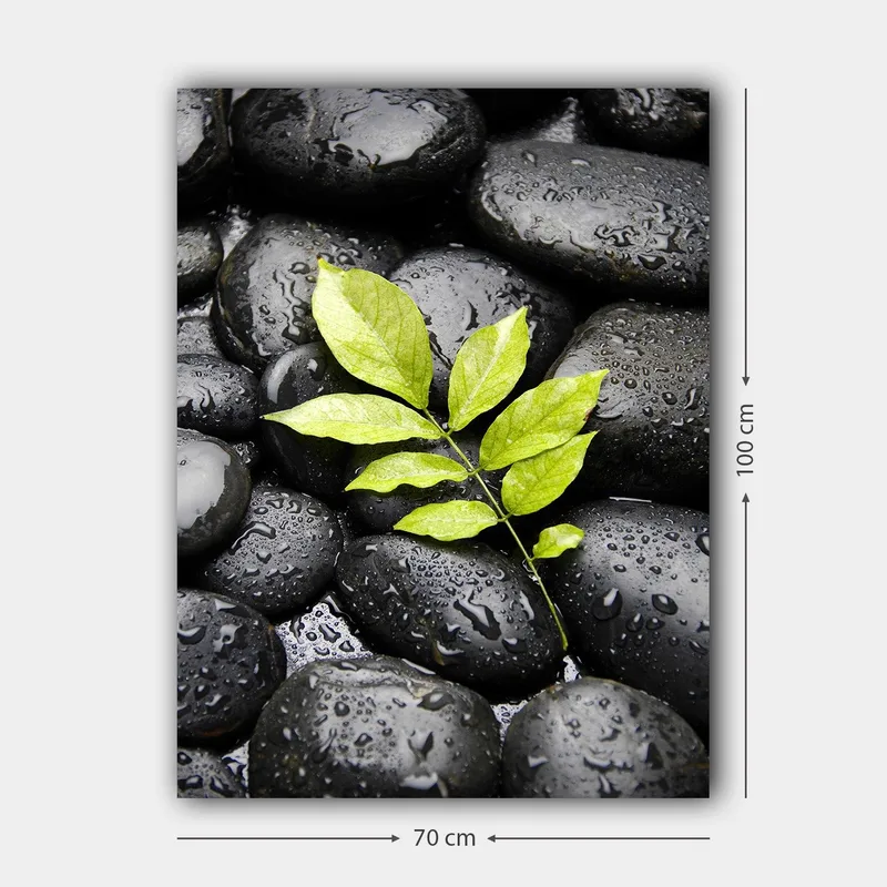 Canvastavla 70x100 cm - Grön kvist som växer fram ur en samling svarta stenar - Svart / Grön - Inredning - Tavlor & konst - Canvastavlor