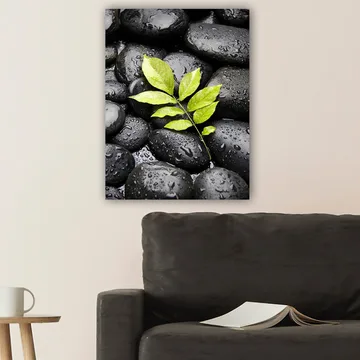 Canvastavla 70x100 cm - Grön kvist som växer fram ur en samling svarta stenar - Svart / Grön - Inredning - Tavlor & konst - Canvastavlor