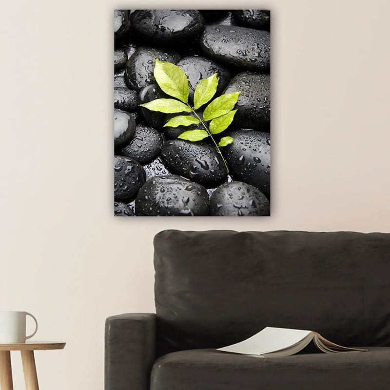 Canvastavla 70x100 cm - Grön kvist som växer fram ur en samling svarta stenar - Svart / Grön - Inredning - Tavlor & konst - Canvastavlor