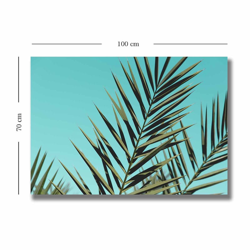 Canvastavla 70x100 cm - Grönskande palmblad mot en klar himmel - Turkos / Mörkgrön - Inredning - Tavlor & konst - Canvastavlor