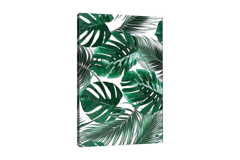 Canvastavla 70x100 cm - Grönskande palmblad i olika former och storlekar - Mörkgrön / Ljusgrön - Inredning - Tavlor & konst - Canvastavlor