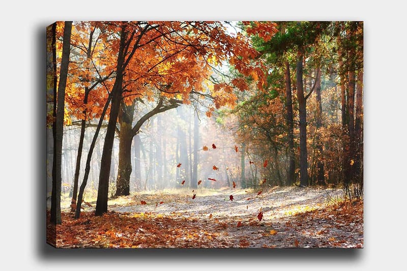 Canvastavla 70x100 cm - Höstskogslandskap med fallande löv i varma färger - Orange / Brun / Grön - Inredning - Tavlor & konst - Canvastavlor