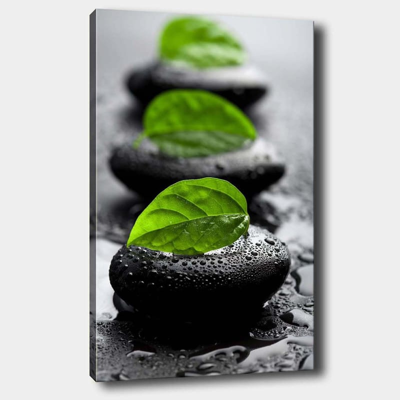 Canvastavla 70x100 cm - Harmonisk komposition av svarta stenar med gröna blad som symboliserar lugn och balans - Svart / Grön - Inredning - Tavlor & konst - Canvastavlor