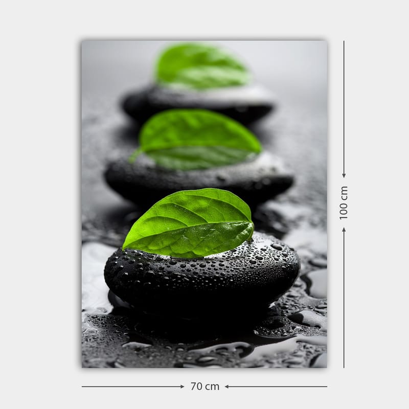 Canvastavla 70x100 cm - Harmonisk komposition av svarta stenar med gröna blad som symboliserar lugn och balans - Svart / Grön - Inredning - Tavlor & konst - Canvastavlor