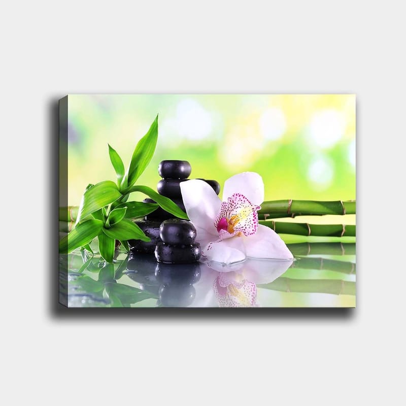 Canvastavla 70x100 cm - Harmonisk komposition med svarta stenar, en vit orkidé och gröna bambuskott - Svart / Grön / Vit - Inredning - Tavlor & konst - Canvastavlor