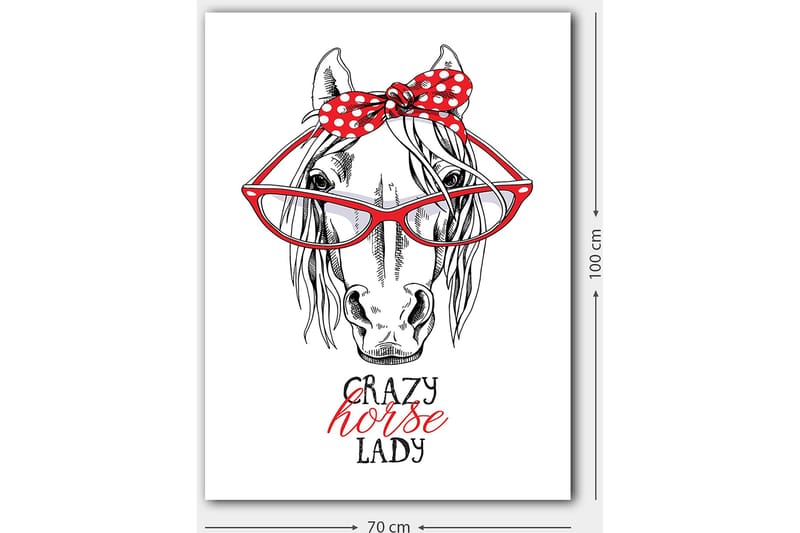 Canvastavla 70x100 cm - Humoristisk illustration av ett hähuvud med stora glasögon och en röd prickig rosett - Röd / Svart / Vit - Inredning - Tavlor & konst - Canvastavlor