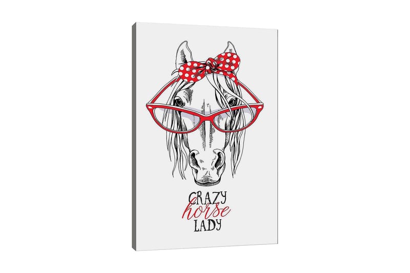 Canvastavla 70x100 cm - Humoristisk illustration av ett hähuvud med stora glasögon och en röd prickig rosett, Röd / Svart / Vit