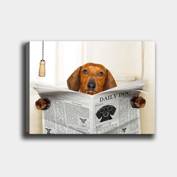 Canvastavla 70x100 cm - Hund som läser tidningen Daily Dog med ett nyfiket uttryck - Brun / Svart - Inredning - Tavlor & konst - Canvastavlor