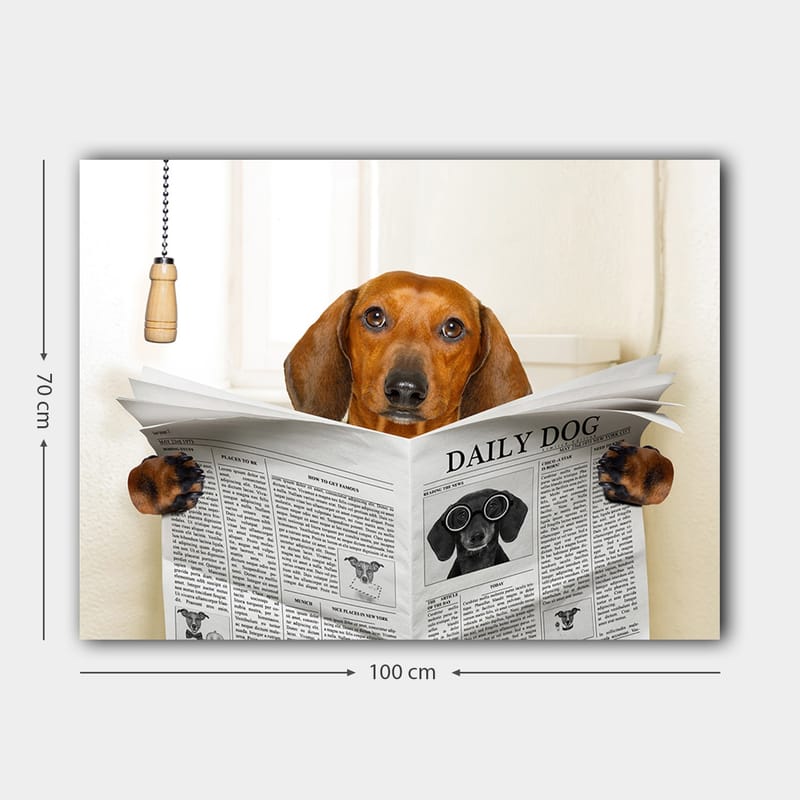 Canvastavla 70x100 cm - Hund som läser tidningen Daily Dog med ett nyfiket uttryck - Brun / Svart - Inredning - Tavlor & konst - Canvastavlor