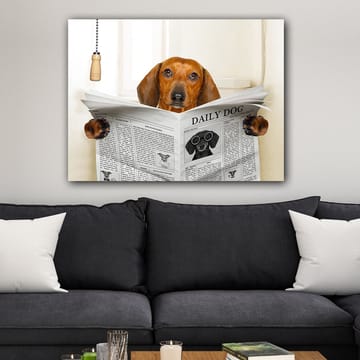 Canvastavla 70x100 cm - Hund som läser tidningen Daily Dog med ett nyfiket uttryck - Brun / Svart - Inredning - Tavlor & konst - Canvastavlor