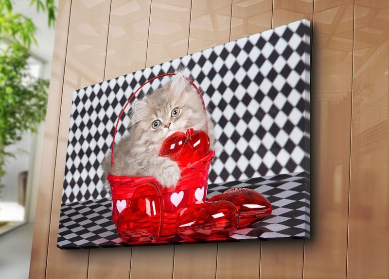 Canvastavla 70x100 cm - Kattunge som sitter i en röd korg fylld med hjärtformade dekorationer - Röd / Grå - Inredning - Tavlor & konst - Canvastavlor