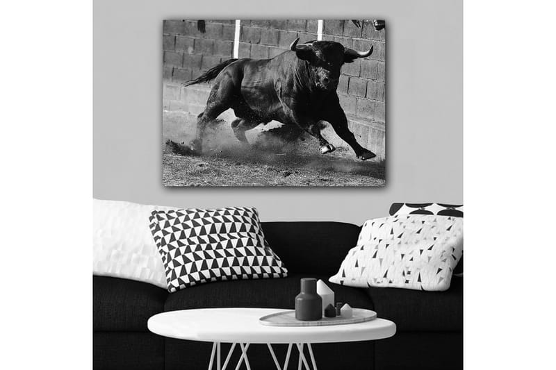 Canvastavla 70x100 cm - Kraftfull tjur i rörelse, fångad i ett ögonblick av intensitet och styrka - Svart / Grått - Inredning - Tavlor & konst - Canvastavlor
