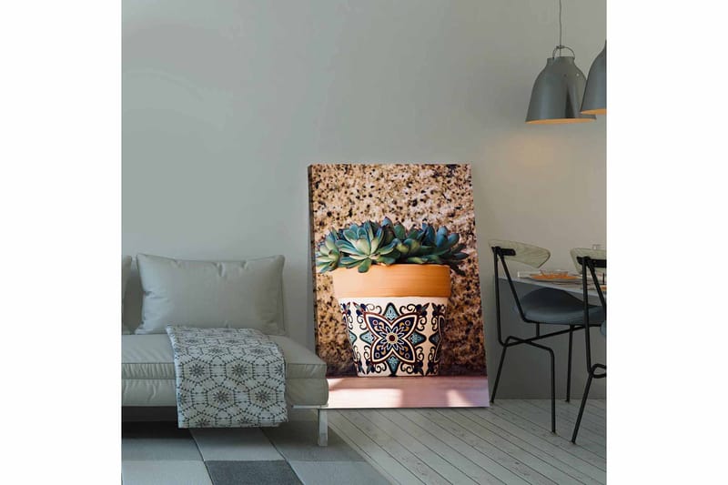 Canvastavla 70x100 cm - Kruka med succulenter i en dekorativ design - Grön / Terrakotta / Svart - Inredning - Tavlor & konst - Canvastavlor