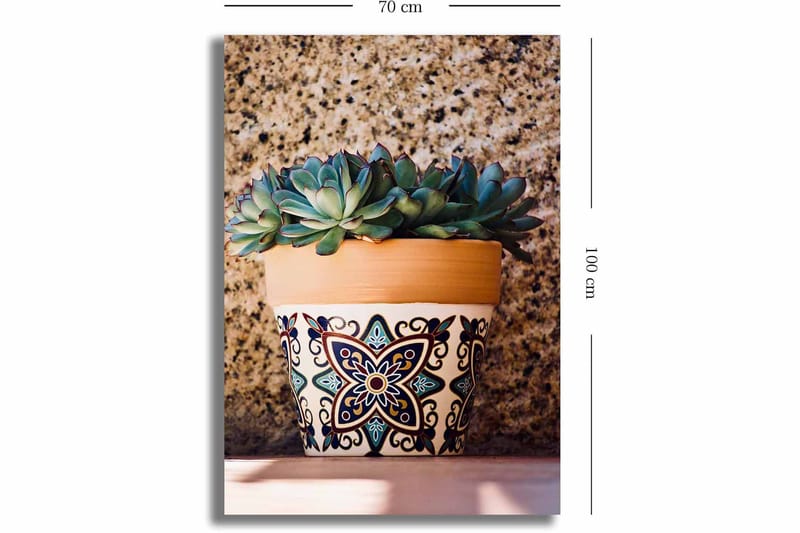 Canvastavla 70x100 cm - Kruka med succulenter i en dekorativ design - Grön / Terrakotta / Svart - Inredning - Tavlor & konst - Canvastavlor