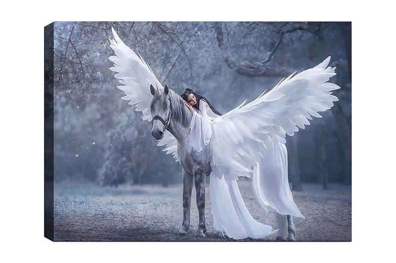 Canvastavla 70x100 cm - Kvinna med vingar som omfamnar ett grått häst med stora vita vingar, Vitt / Grått / Ljusblått