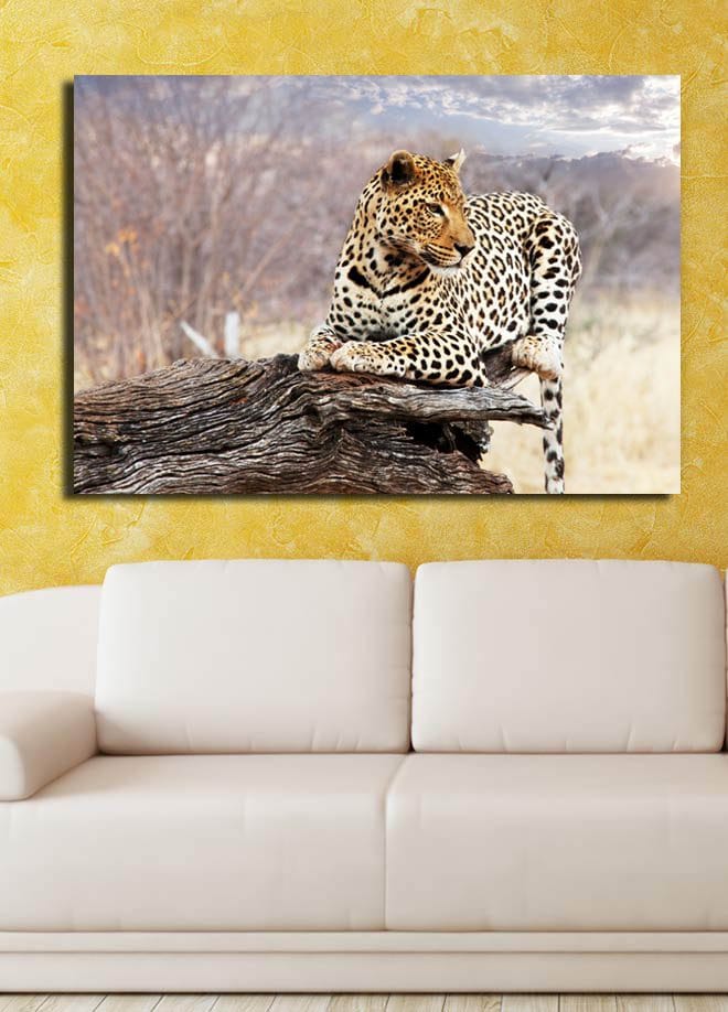Canvastavla 70x100 cm - Leopard som vilar på en trästam i en naturlig miljö - Guld / Svart / Brun - Inredning - Tavlor & konst - Canvastavlor