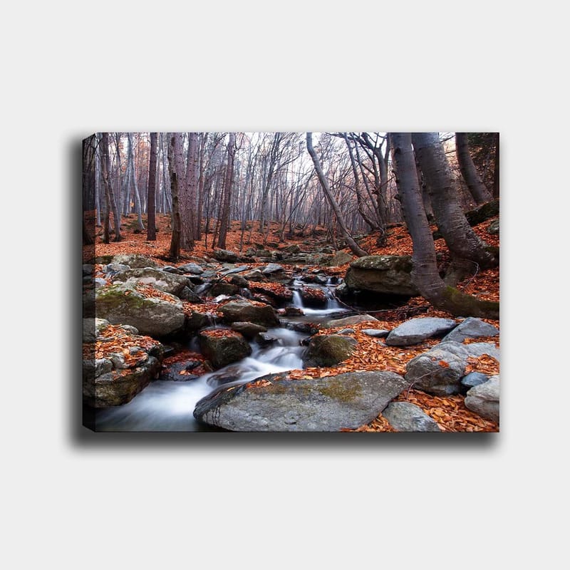 Canvastavla 70x100 cm - Lugn skogsscen med en porlande bäck omgiven av höstfärgade löv och stenar - Grå / Orange / Brun - Inredning - Tavlor & konst - Canvastavlor