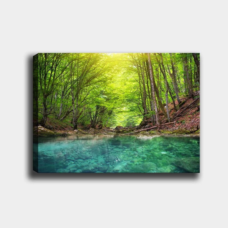 Canvastavla 70x100 cm - Lugn skogssjö omgiven av frodiga gröna träd och klippiga stränder, Grön / Turkos