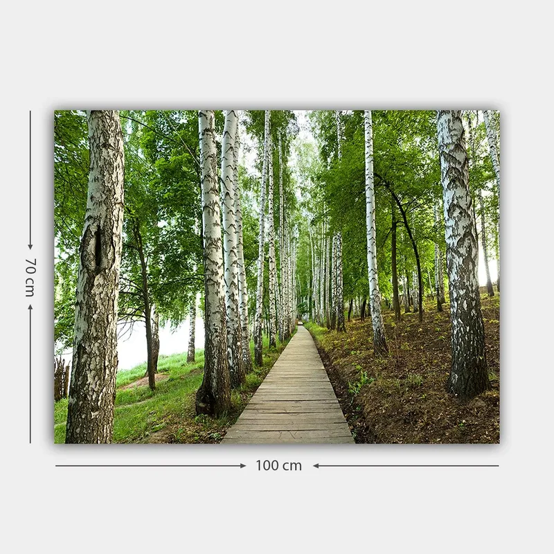 Canvastavla 70x100 cm - Lugn skogsväg omgiven av björkar och grönskande vegetation - Grön / Vit / Brun - Inredning - Tavlor & konst - Canvastavlor
